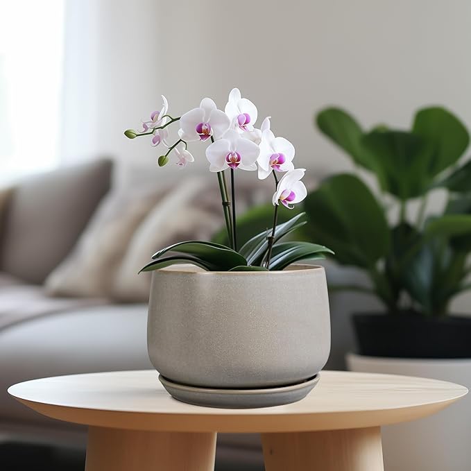 G EPGardening Ceramic Pots for Plants 7 Inch - Large Ceramic Planters for Indoor Plants Outdoor Modern Flower Pot with Drainage Holes and Saucer for Office Garden Patio Grey GEPGardening