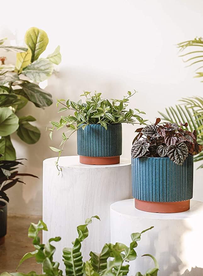 LE TAUCI Ceramic Pots for Plants, 8+6.7+5.5 Inch Plant Pots Indoor, Flower Pot with Drainage Holes, Medium Cylinder Planters for Indoor House Plants, Set of 3, Blue LETAUCI
