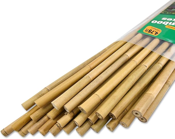 25pcs 1/2" D Thicker Heavy Duty Bamboo Stakes, 4.75FT Plant Stakes, Natural Garden Stakes for Tomato, Bean, Flowers,Trees Potted and Climbing Plant Support Jollybower