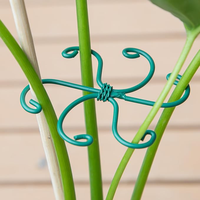 Monstera Plant Stem Support - Set of 5 Sturdy Indoor Support Sticks for Monstera & Climbing Plants - Essential Growth Stabilizers for Leaf Support - Easy-to-Use Gardening Accessories Yohsnor