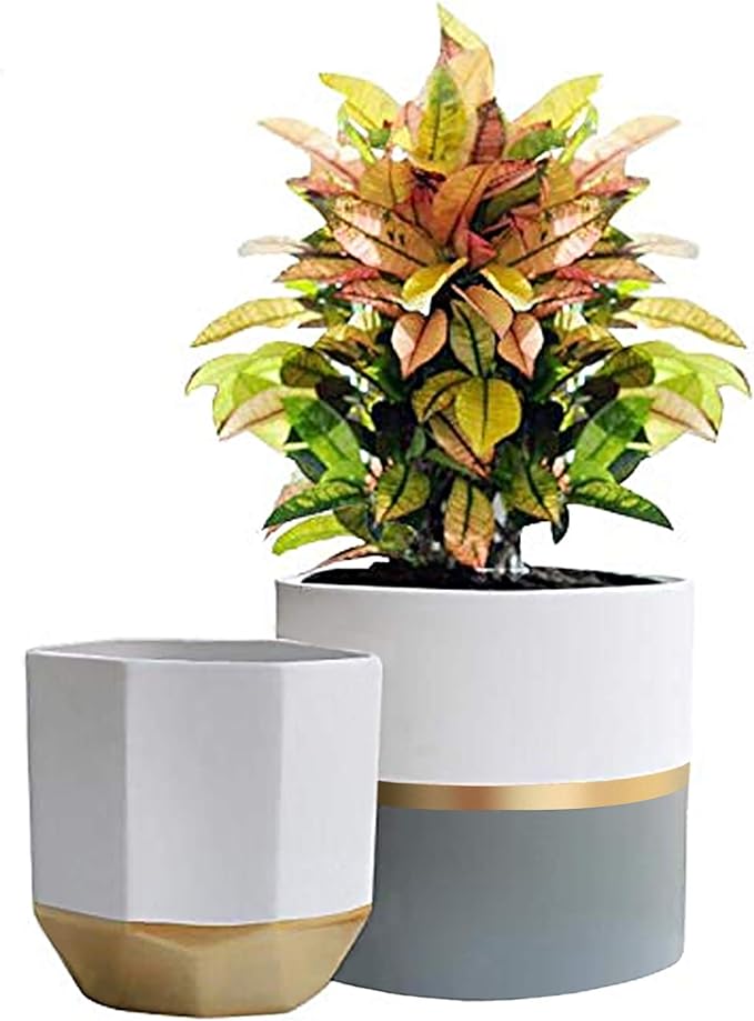 LA Jolie Muse White Ceramic Flower Pot Garden Planters 6.7 Inch Pack 2 Indoor Plant Containers with Gold and Grey Detailing LaJol%C3%ADeMuse