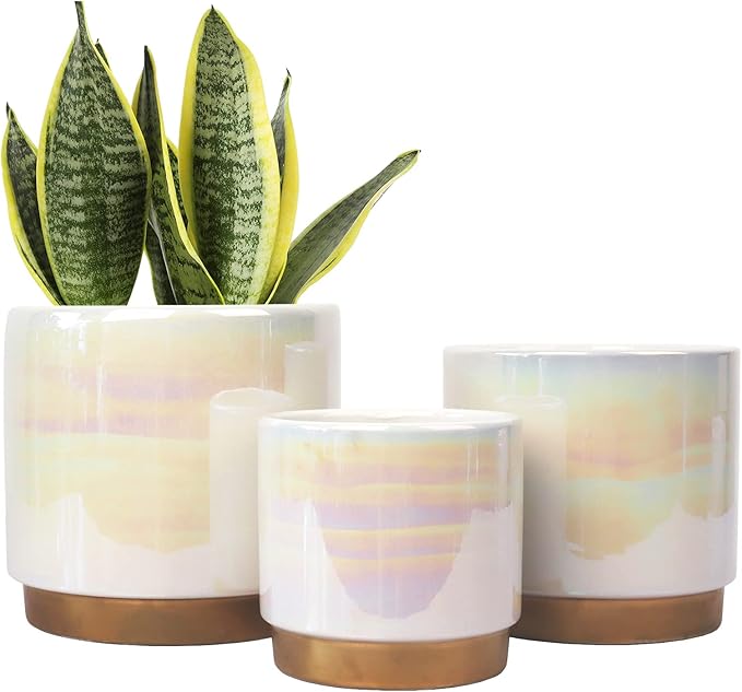 Gepege White Indoor Pots for Plants, Ceramic Planter with Drainage Hole, 6.0 inch+5.0 Inch+4.0 Inch. Succulent Orchid Flower Pot - Rainbow Pearl Glaze Gepege