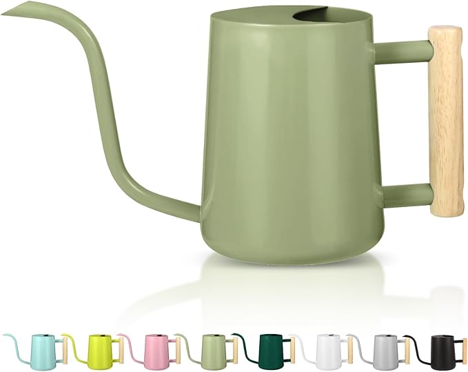 Watering Can Indoor Plants, 35oz Small Indoor Stainless Steel Metal Watering Can Modern Decorative Watering Pot with Long Spout for Indoor House Plant Bonsai Garden Flowers (Sage Green) GUKJOB