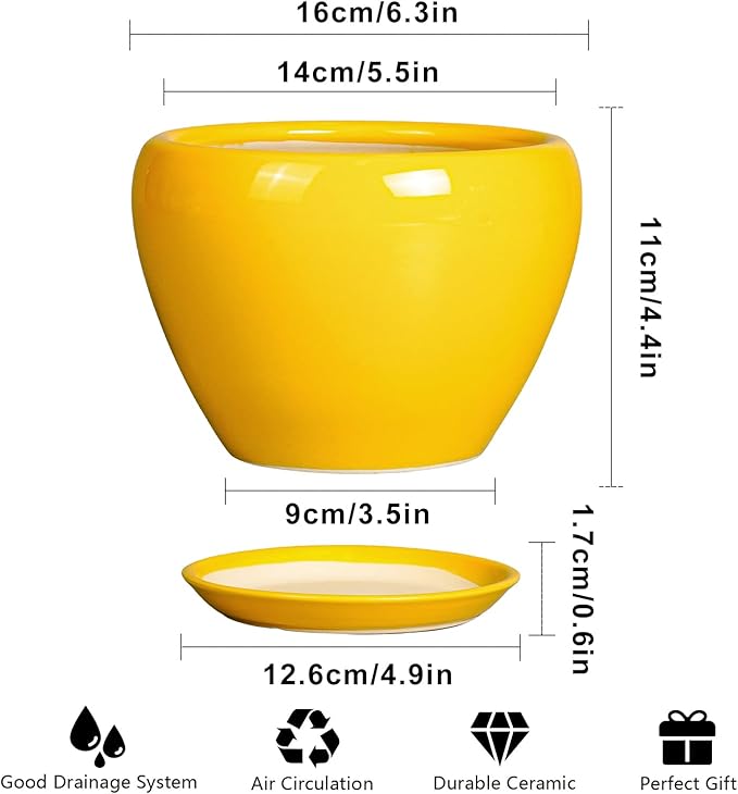 Ceramic Pot for Plants - 6 Inch Plant Pot Glaze Modern Decorative Round Planter with Drainage Hole and Saucer for Home Patio Room Office House Decor, Yellow Ceramicfor