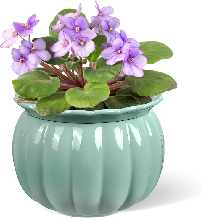 BUYMAX African Violet Pots, 6 inch Pumpkin-Style Ceramic Easy Self Watering Plant Pot for Busy Plant Lovers, Automatically Absorb Appropriate Amount of Water, Flower Pot Indoor-Plants Not Included BUYMAX