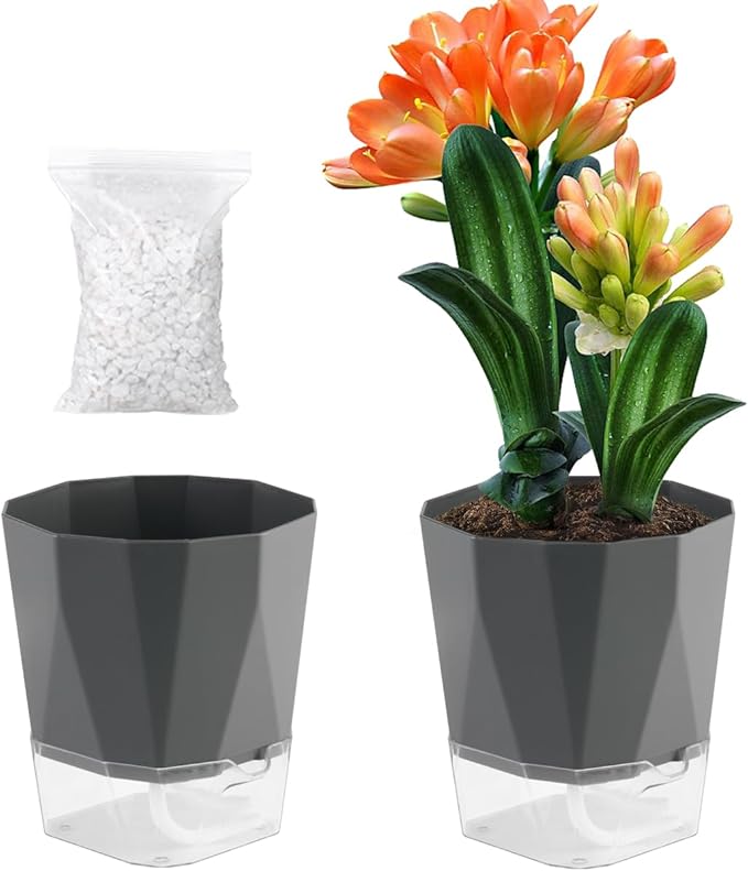 2 Pack Self Watering Plant Pots 8.4" Self Watering Planters for Indoor and Outdoor Plants African Violet Self Watering Clear Pots for Plants Large Herb Orchid Flower Houseplant Pots, Dark Grey Planterhoma
