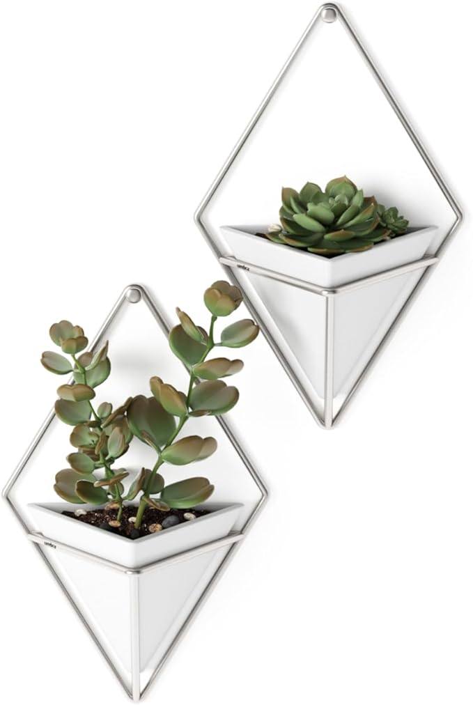 Umbra Trigg Hanging Planter Vase Wall Decor, Set of 2 Pots Containers for Succulents, Cactus, Faux Plants, and More, Small, White/Nickel Umbra