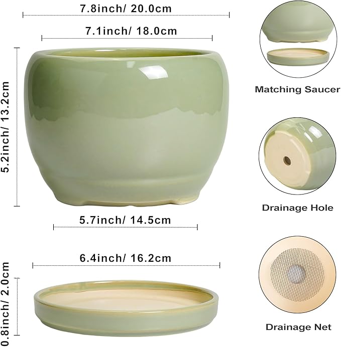 SQOWL 8 Inch Plant Pot - Ceramic Planters with Drainage Hole and Tray, Round Flower Pot for Indoor Plants, Modern Decorative Planters Outdoor, Garden Decor, Housewarming Gifts, Green SQOWL