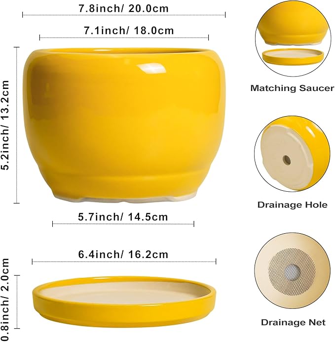 SQOWL Ceramic Plant Pot - 8 Inch Planter for Indoor Outdoor, Decorative Plant Pot with Drainage Hole and Saucer, Modern Round Planter for Flower, Desk Decor, Housewarming Gifts, Yellow SQOWL