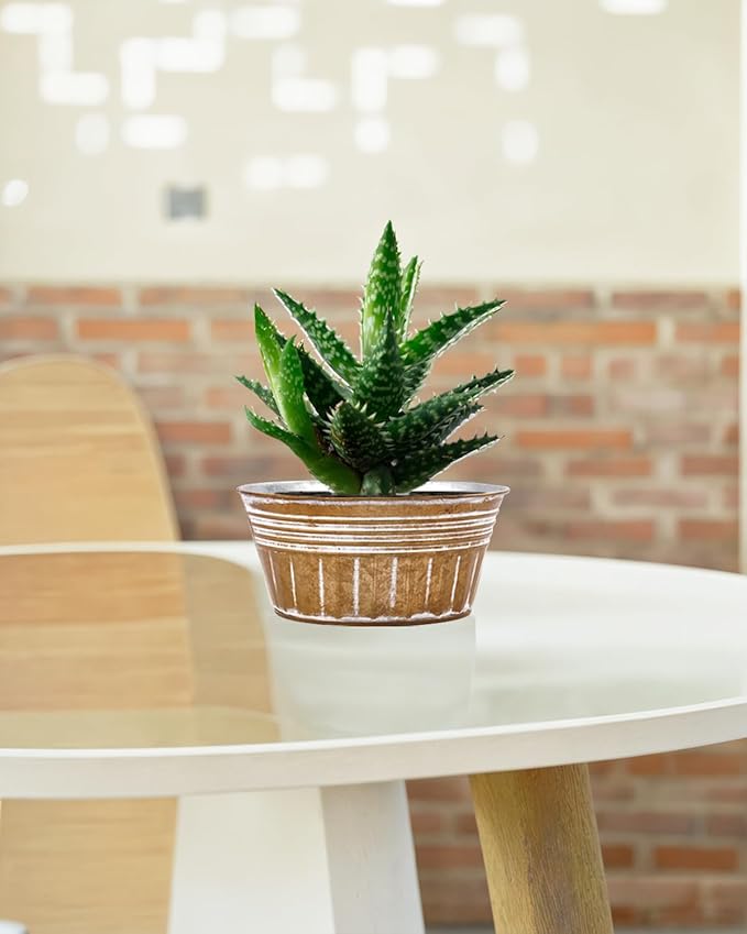 vensovo 10 Inches Brown Metal Rustic Plant Pots - 4 Pcs Large Shallow Galvanized Planters with Drain Hole and Rubber Plug, Rustproof Tin Bucket Succulent Pot Indoor Farmhouse Vintage Style for Decor vensovo