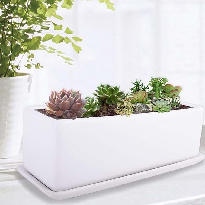 Vencer 12 Inch Rectangular Modern Minimalist Ceramic Succulent Planter Pot - Window Box with Saucer,Office Desktop Potted Stand,White,VF-0135 Vencer