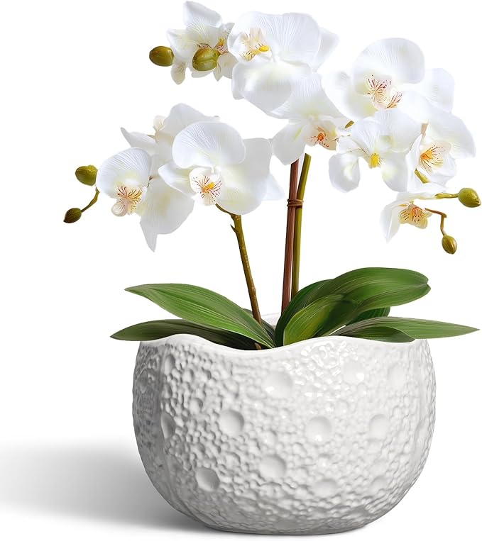 Ceramic Pots for Plants - 6 Inch Plant Pot for Indoor Outdoor, Decorative Orchid Pots with Drainage Hole, Unique Round Modern Planters, Home Decor, Gifts for Plant Lovers, White Thirtypot