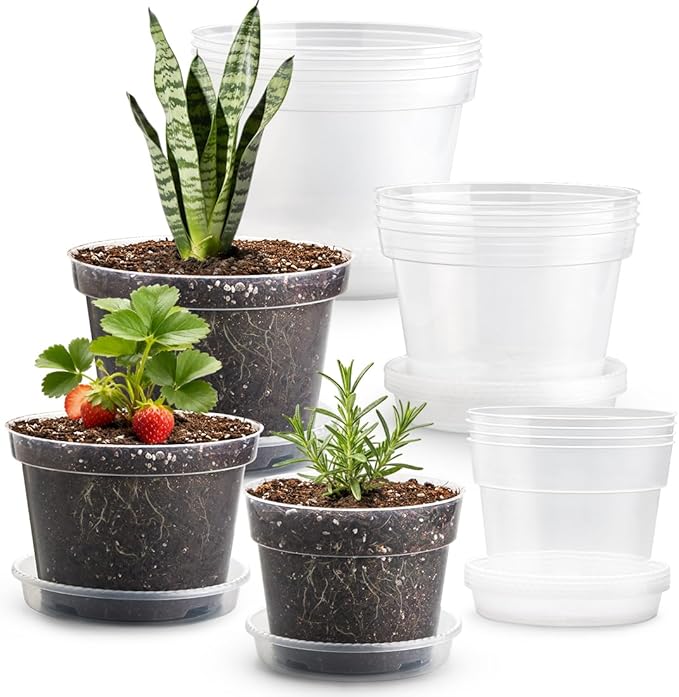 15 Pack 8/7/6 Inch Clear Nursery Pots with Saucer, Transparent Plastic Plant Pot with Drainage Hole, Sturdy Planting Starter Pots for Gardening Flower Herb Vegetable RooTrimmer
