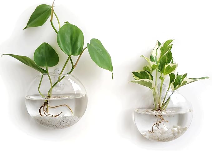 Mkono Wall Hanging Glass Terrariums Planter Oblate Flower Vase for Hydroponics Plants, Bathroom, Home Office Living Room Decor, Set of 2 Mkono
