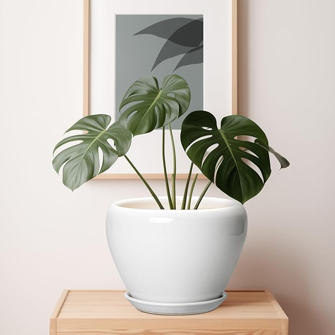 Ceramic Pot for Plants - 10 Inch Planter with Drainage Hole and Saucer, Glaze Modern Round Flower Pot for Indoor Plants, Housewarming Gift, Home Decor, White Ceramicfor