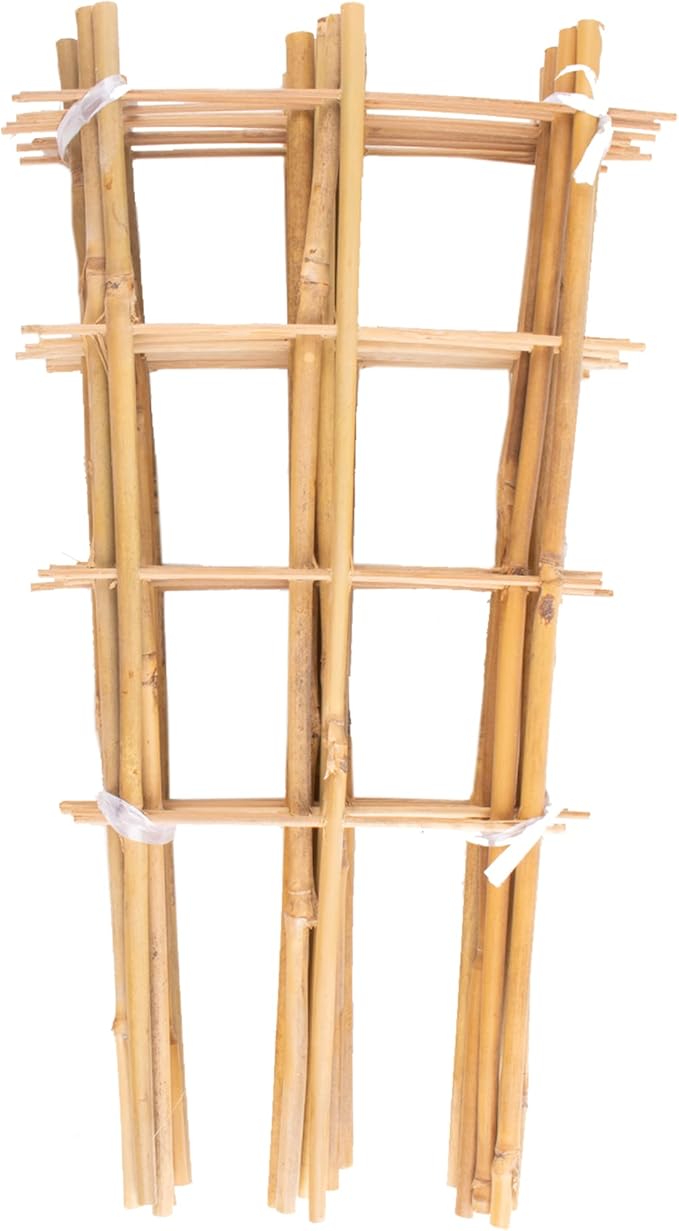 Avalution 10 Pack Bamboo Trellis for Climbing Plants 16" Natural Garden Ladder Trellis, Fan -Shaped Plant Support Trellis for Potted Plant Decor Avalution