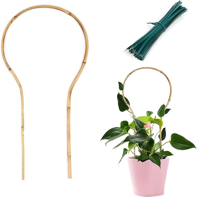 Plant Trellis Indoor 16in, Loop-Shaped Bamboo Trellis - 3 Pack for Climbing Plants, Hoya, Potted Plants Cambaverd