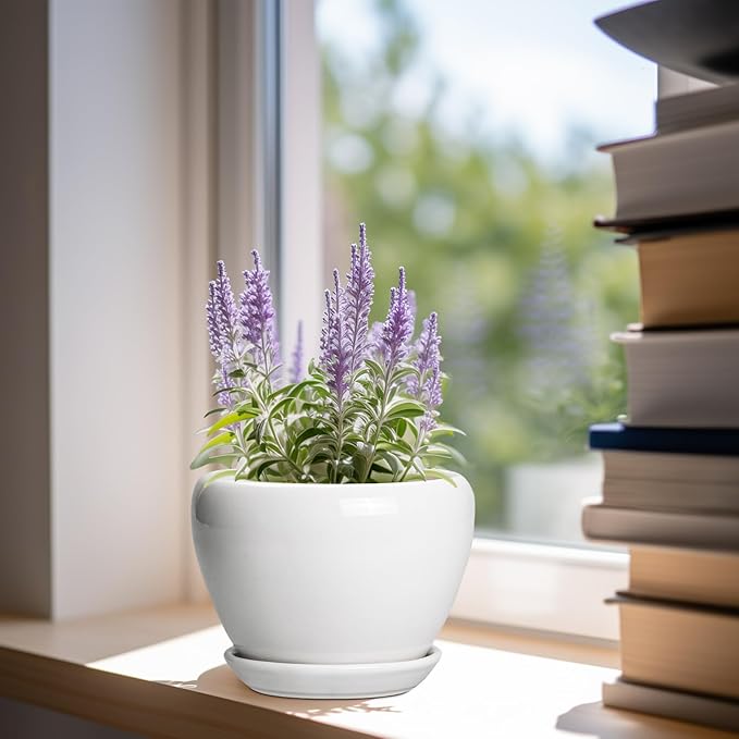 Ceramic Pot for Plants - 6 Inch Plant Pot for Succulent Plants, Glaze Modern Round Planter with Drainage Hole and Saucer, Gifts for Plant Lovers, Home Office Patio Room Decor, White Ceramicfor