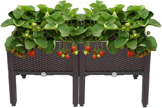 VINGLI Square Raised Garden Bed, Self-Watering Plastic Planter for Indoor Outdoor Vegetables, Fruits, Potato, Flowers, All Weather (2 Pcs) VINGLI