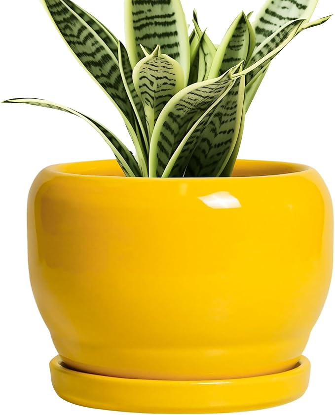 SQOWL 6 Inch Plant Pot - Ceramic Planter with Drainage Hole and Saucer, Modern Ceramic Flower Pots for Indoor Plants Outdoor, Round Decorative Small Planter, Desk Decor, Garden Gifts, Yellow SQOWL
