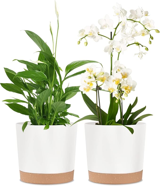kubvici 2 Pack 8 Inch Planters for Indoor Plants, Plastic Flower Pots Plant Pots Indoor with Drainage Saucer for Outdoor Garden Home Plant, White 8” kubvici