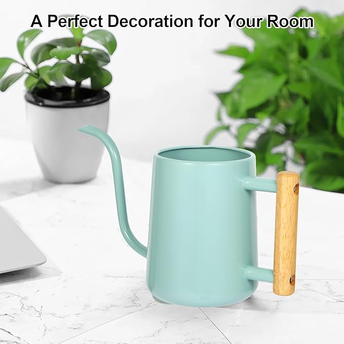 Watering Can Indoor Plants, 35 oz/1000 ml Metal Stainless Steel Watering Can Pot with Long Spout for Indoor House Plants Bonsai Outdoor Garden Flower Decorative (Green Rootora