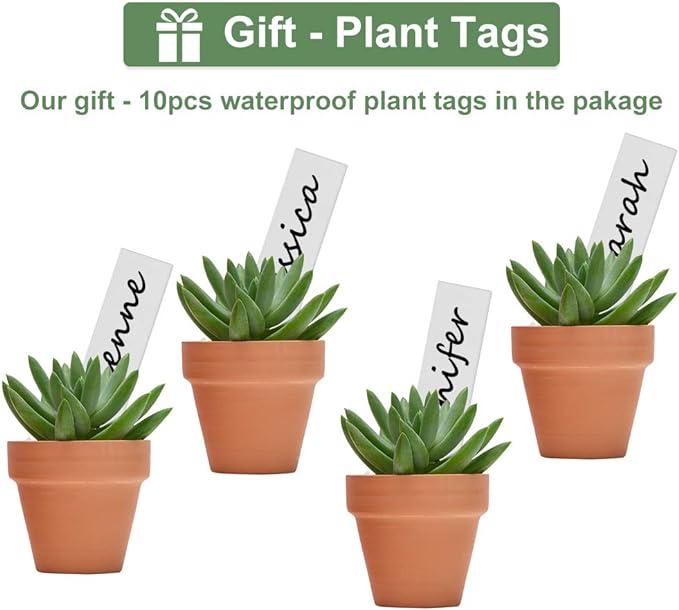 32pcs Small Mini 2" Terracotta Pot Clay Ceramic Pottery Planter, Cactus Flower Nursery Terra Cotta Pots, with Drainage Hole, for Indoor/Outdoor Succulent Plants, Crafts, Wedding Favor Becory