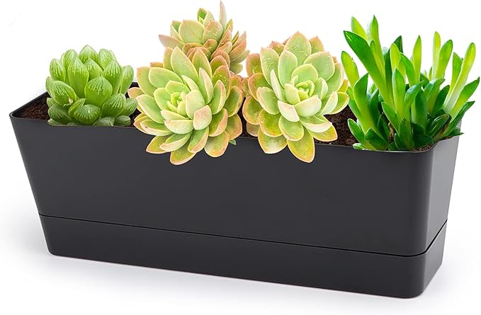 GREANER 12x3.8 Inch Herb Planters, 1 Pack Rectangle Window Boxes with Tray, Indoor Succulent Cactus Mint Plastic Pot for Windowsill, Balcony, Office, Outdoor Garden - Black GREANER