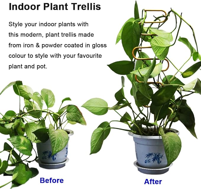 Small Metal Trellis for Potted Plants, 3 Pcs Gold Trellis for Climbing Plants Indoor, Plant Support Stake Mini House Plant Trellis for Hoya, Flower, Pothos, Monstera Yowlieu