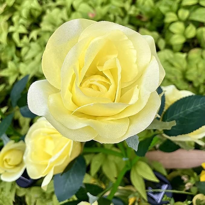 GONIMY Outdoor Realistic Solar Powered Rose Flower Lights Stake,2 Pack 10 Rose Solar Garden Decorative Waterproof Lights for Backyard Patio Pathway Xmas Decoration-Yellow GONIMY