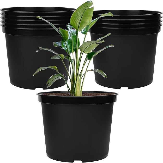 GREANER 5 Gallon Black Planter Pots, 10PCS Plastic Durable Plant Pots for Plants, Seed Starting Container for Flower Herb Vegetable Seedling Tree Fruit GREANER