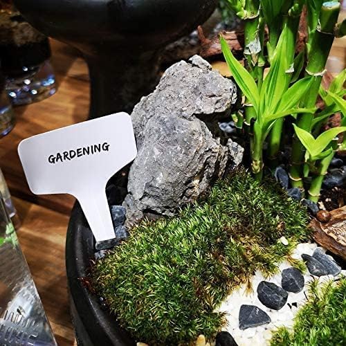 KINGLAKE 100 Pcs 6 x10cm Plastic Plant T-Type Tags Nursery Garden Labels KINGLAKE