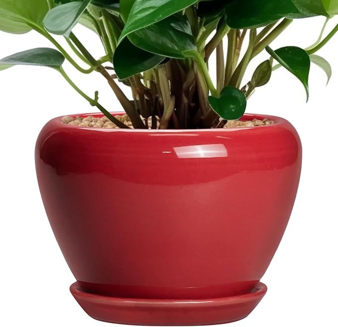 6 Inch Plant Pot - Glaze Modern Ceramic Planter for Indoor Plants, Succulent Pot with Drainage Hole and Saucer, Office Garden Home Decor, Housewarming Gift, Red Ceramicfor