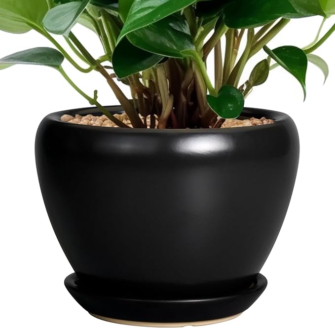 Ceramic Planter Pot - 6 Inch Plant Pot with Drainage Hole and Saucer Round Planter for Indoor Plants Outdoor Succulent Pot Modern Flower Pot for Home Decor Black Ceramicfor