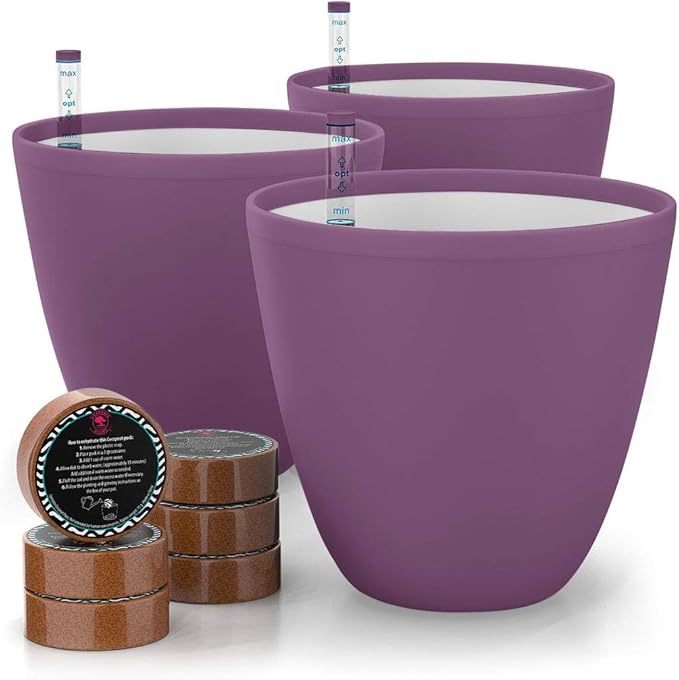 GARDENIX DECOR Self Watering Pots for Indoor Plants 3 Pack - Flower Pot with Water Level Indicator for Plants, Grow Tracking Tool - Self Watering Planter Plant Pot - Coco Coir - Purple Rootora