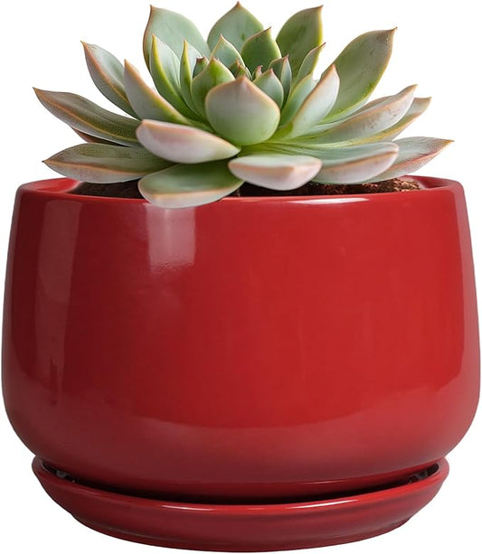G EPGardening Ceramic Pot for Plants - 6 Inch Plant Pot with Drainage and Ceramic Tray, Modern Living Room Decor, Planter for Housewarming Gifts New Home, Red GEPGardening