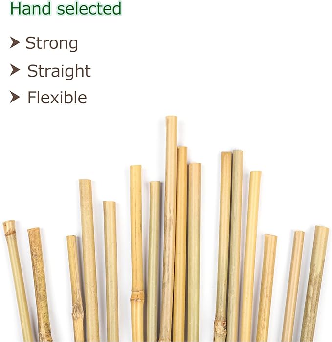 40pcs Natural Bamboo Sticks for Indoor and Outdoor Plants, 16 Inch Plant Support Stakes for Tomato, Beans, Potted Plants and Vegetable Cambaverd