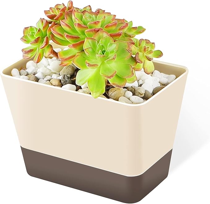 GREANER Planter Pot with Drainage, 1 Pack 6x3.8 Inch Herb Indoor Window Box with Tray, Modern Plastic Plant Flower Succulent Cactus Container for Windowsill, Garden Balcony, Home Office Outdoor Decor GREANER