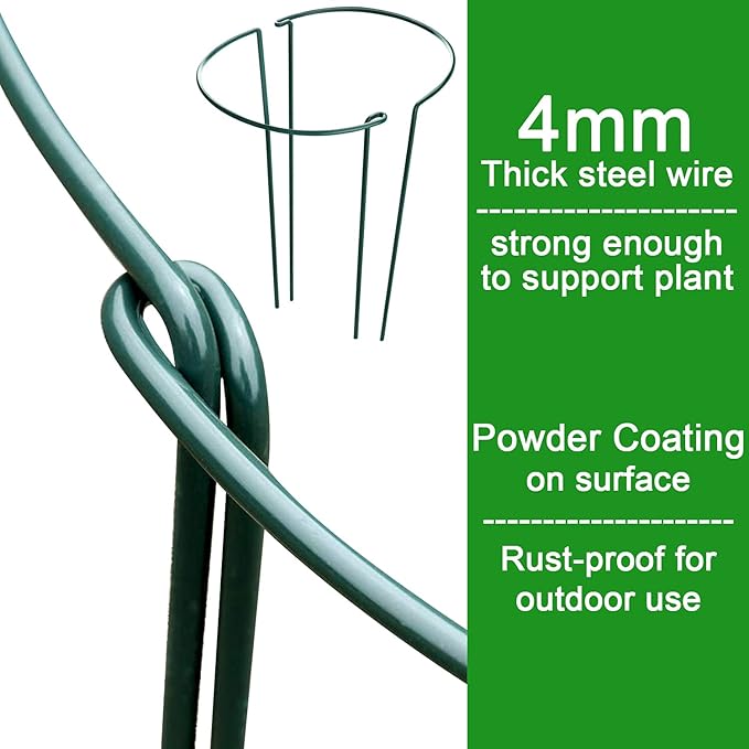 HiGift 8 Pack Plant Support Stakes, Half Round Metal Garden Plant Stake Indoor Peony Cages and Supports, Green Plant Support Ring Border for Tomato,Hydrangea,Flower Outdoor (10" Wide x 15.8" High) HiGift