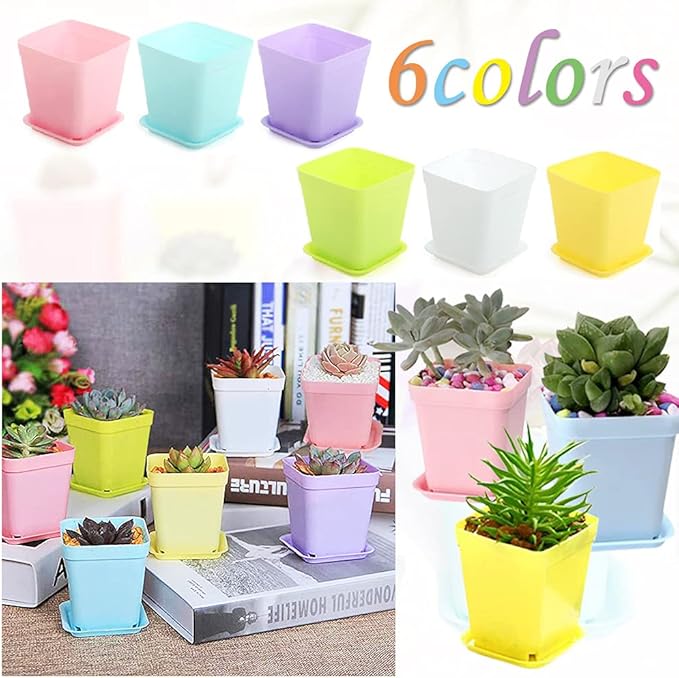 Haawooky 48 PCS 3 Inch Colorful Plastic Plant Pot,Plastic Square Nursery Pots,Seedling Nursery Pots with Saucers for Garden,Home,Office,Balcony Decor,Garden Gifts Haawooky
