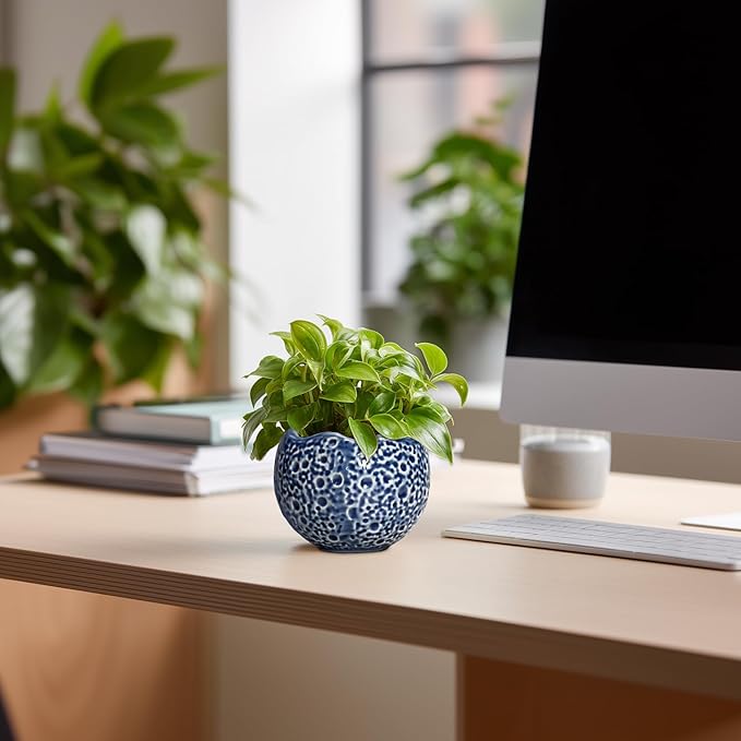 4 inch Plant Pots - Small Ceramic Planter with Drainage Hole, Succulent Pots for Indoor Outdoor, Unique Round Planter, Modern Decorative Flower Pot, Desk Decor, Plant Lovers Gifts, Blue Thirtypot