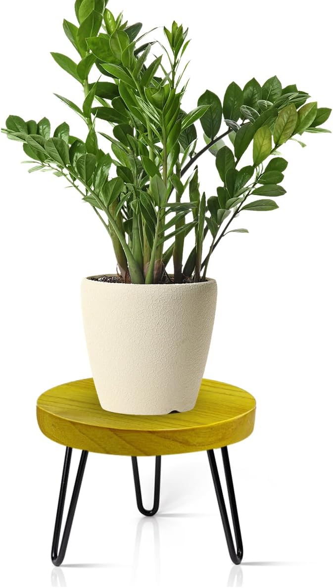 Plant Stand Indoor Outdoor Wood Mid Century Plant Stand for Indoor Plants, Modern Plant Table Round Plant Stool, Boho Rustic Wooden Stool for Plant Pot Hol (L) Welcometoobtain