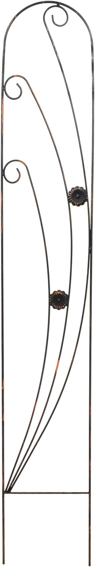 TR08 Phoenix Trellis 5' x 10", Black Rootora
