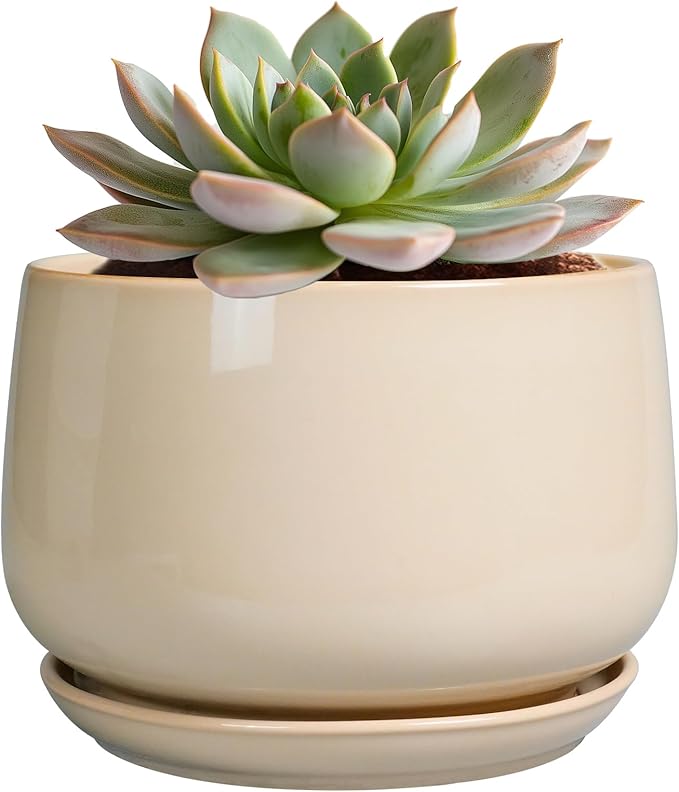 G EPGardening Ceramic Pot for Plants - 6 Inch Planter with Drainage and Ceramic Saucer, Flower Pots for Indoor Plants, Modern Outdoor Planter, Home Decor, Gift for Women Men, Beige GEPGardening