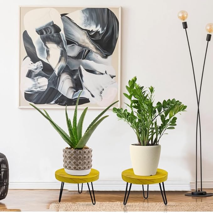 Plant Stand Indoor Outdoor Wood Mid Century Plant Stand for Indoor Plants, Modern Plant Table Round Plant Stool, Boho Rustic Wooden Stool for Plant Pot Hol (L) Welcometoobtain