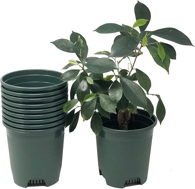 5.5 Inch Gardening Flower Pots 10-Pack Green Pot Liners 0.5 Gallon Nursery Pot Plastic Planters for Outdoor Indoor Plants with Drainage Holes CottaPlanters