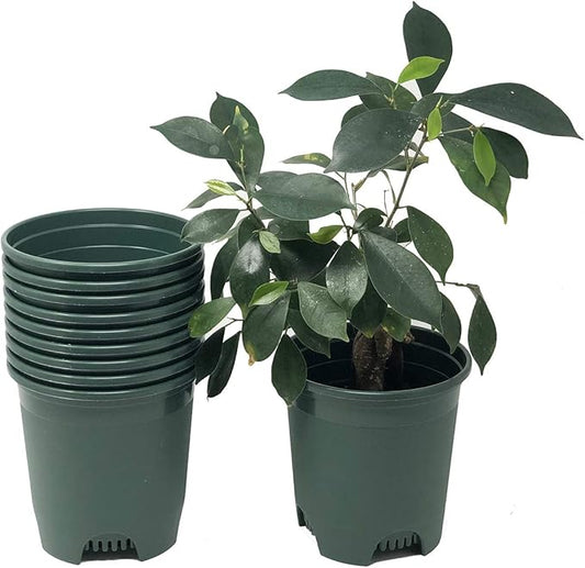 30-Pack Wholesale Nursery Pot in Bulk 5.5 Inch 0.5 Gallon Plastic Planters for Outdoor Indoor Plants Gardening Flower Pots with Drainage Holes Color Green CottaPlanters