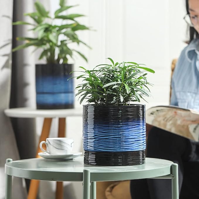 Nihow Ceramic Plant Pot: 6 Inch Planter with Drainage Hole & Saucer for Indoor & Outdoor Plants - Cylinder Round Flower Pot for Succulent/Herbs/Violets - Black & Vivid Blue Nihow