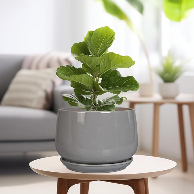 G EPGardening Ceramic Plant Pots - 9 Inch Modern Round Planter with Drainage and Plant Saucer for Indoor Outdoor Flower, Apartment Decor, Birthday Gifts, Grey GEPGardening