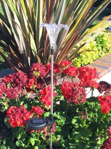 Solar Garden Stake Lights with Color Changing LED or Regular White LED Landscape Path Lights (Set of 2) (Lily Flower) Ntertainment+House